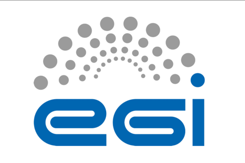 Electrical Geodesics Inc. (EGI) logo